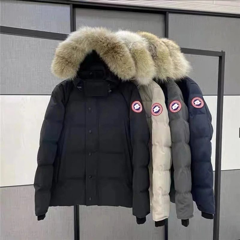 Fur-Trim Hooded Down Parka – LitBuy spreadsheet find